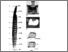 [thumbnail of Schmitzetal_Figures.pdf]
