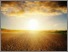 [thumbnail of beyond-borders-resinsurance-industry-cass-knowledge.pdf]