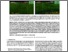 [thumbnail of paper319.pdf]