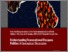 [thumbnail of Thematic Report One - Understanding Transnational Diaspora Politics A Conceptual Discussion.pdf]