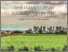 [thumbnail of Hawkes Halliday IPES_Food Urban Food Policyl.pdf]