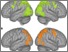 [thumbnail of Fig 4]