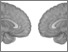 [thumbnail of Fig 6]
