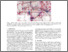 [thumbnail of kachkaev_geovizhamburg_2013-final.pdf]