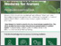 [thumbnail of Journal of Advanced Nursing - 2022 - McTague - Youths with asthma and their experiences of self‐management education  A.pdf]