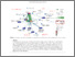 [thumbnail of eurova13.pdf]