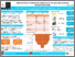 [thumbnail of ARVO 2024.pdf]