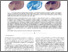 [thumbnail of 04 - solteszova12Perceptual_s v2.pdf]